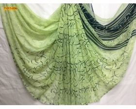Green Raga Georgette Printed Saree