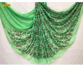 Green Fancy Chiffon Weaves Silk Saree