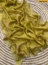 WhatsApp Image 2026-10-26 at 2.44.52 PM.jpeg