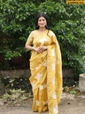 Fendi satin Saree with stitched blouse