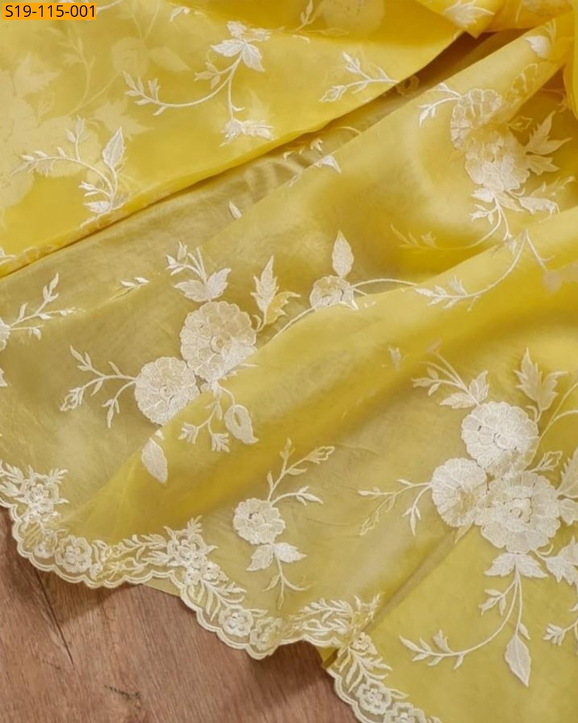 Fancy banarasi Organza saree