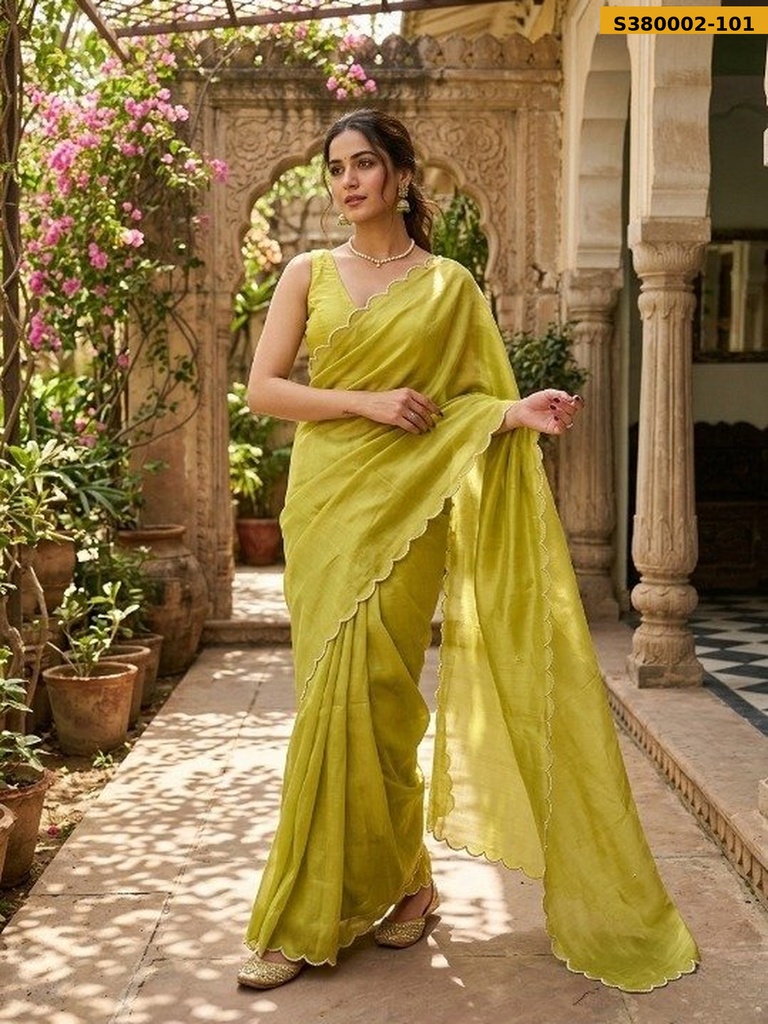 Fancy Star Georgette Pearl border Saree