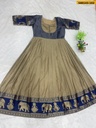 Fancy Floor Length Anarkali Gown
